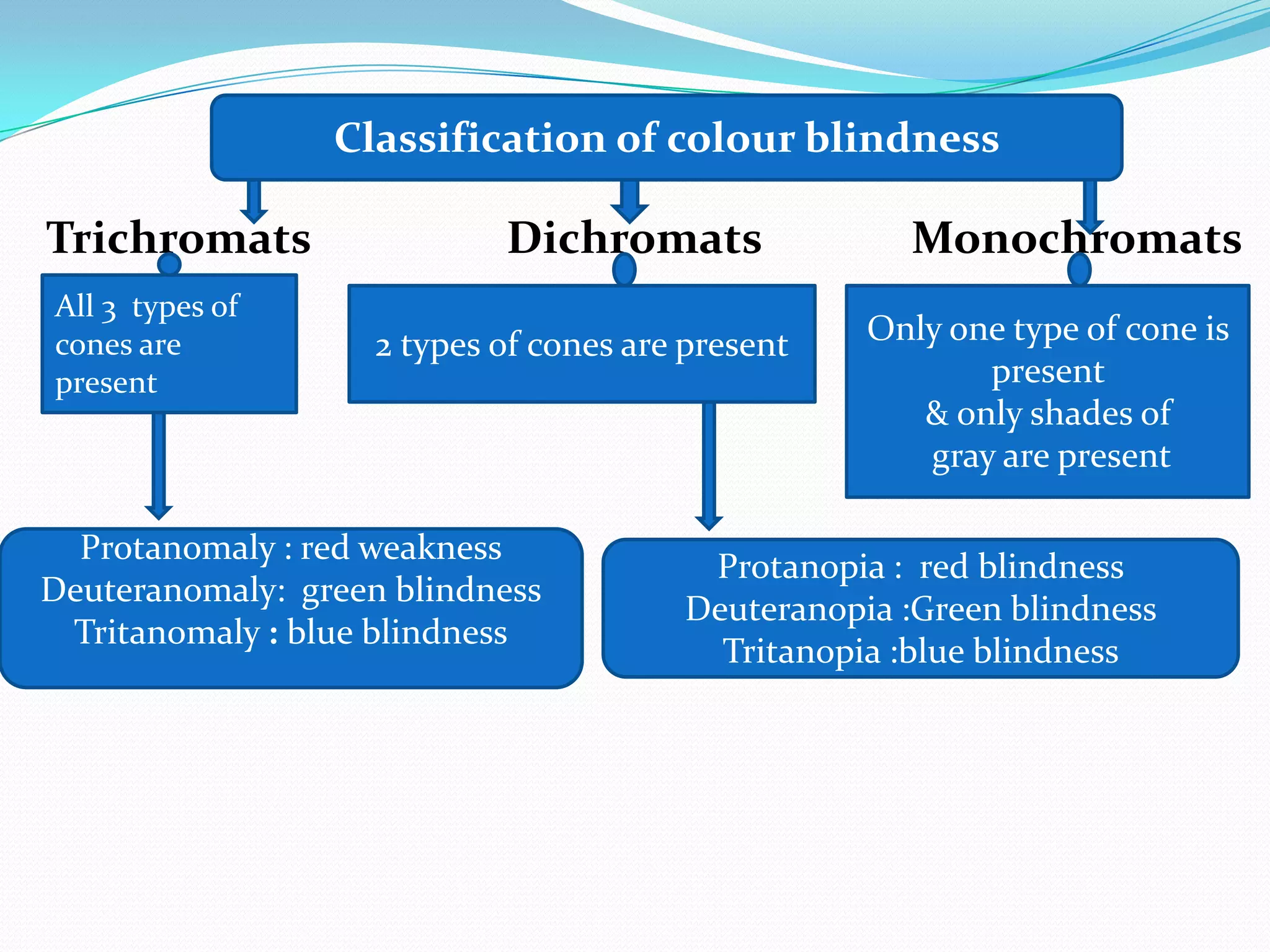 Trichromats Dichromats Monochromats
Classification of colour blindness
All 3 types of
cones are
present
2 types of cones are present Only one type of cone is
present
& only shades of
gray are present
Protanomaly : red weakness
Deuteranomaly: green blindness
Tritanomaly : blue blindness
Protanopia : red blindness
Deuteranopia :Green blindness
Tritanopia :blue blindness
 