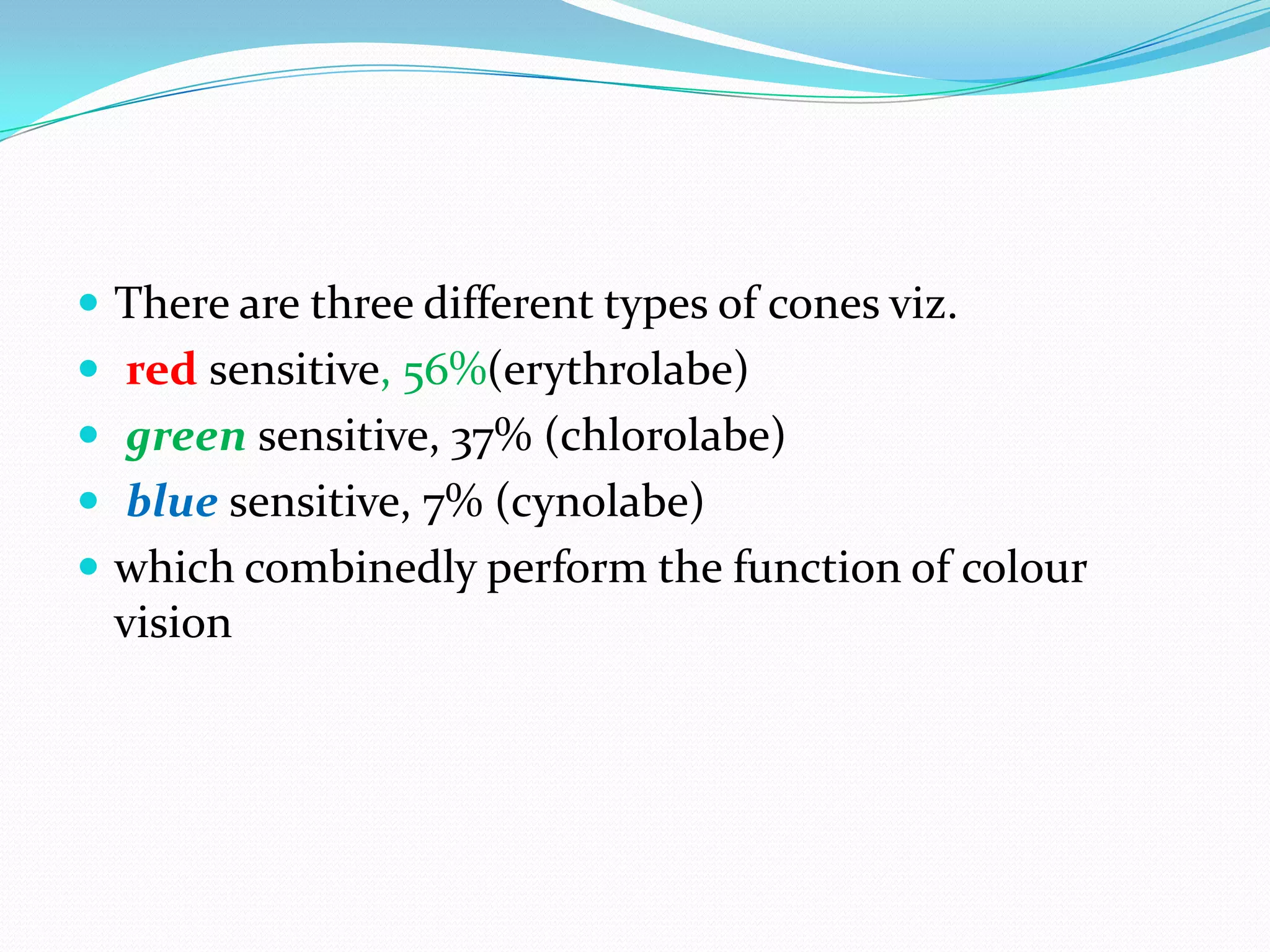  There are three different types of cones viz.
 red sensitive, 56%(erythrolabe)
 green sensitive, 37% (chlorolabe)
 blue sensitive, 7% (cynolabe)
 which combinedly perform the function of colour
vision
 