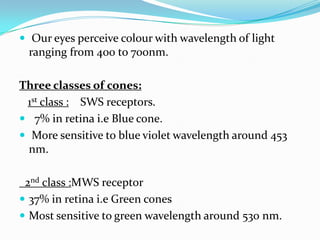 Color Vision Classification Color vision : introduction, classification, causes | PDF