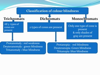 Color vision : introduction, classification, causes | PDF