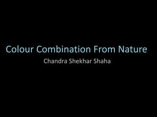 Colour Combination From Nature
Chandra Shekhar Shaha
 