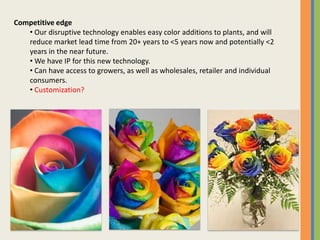 Current and future potential buyers of the company's product(s) or service(s). 