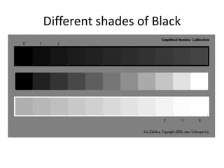 Different shades of Black
 