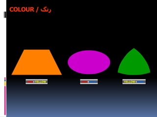 RED+YELLOW RED+BLUE YELLOW+BLUE
‫رنگ‬/COLOUR
 