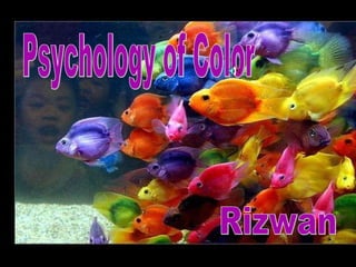 Psychology of Color Rizwan 