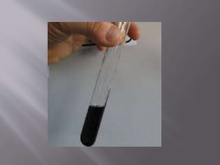Colour reactions of protein | PPTX