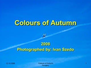 Colours of Autumn 2008 Photographed by: Ivan Szedo 