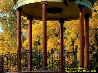 Margareten Island, Budapest, The Music Well 