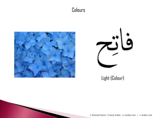 Colours




              ‫ح‬ ِ‫فات‬
                     Light (Colour)




          © Mourad Diouri | Visual Arabic | e-Arabic.com | v-Arabic.com
 