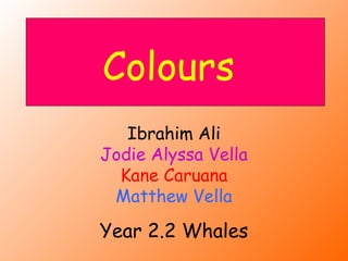 Year 2.2 Whales Colours Ibrahim Ali Jodie Alyssa Vella Kane Caruana Matthew Vella 