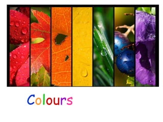Colours of Nature
    PowerPoint by Karen Cox
 