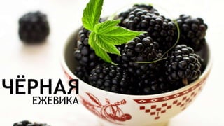 Цвета | Colours