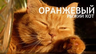 Цвета | Colours