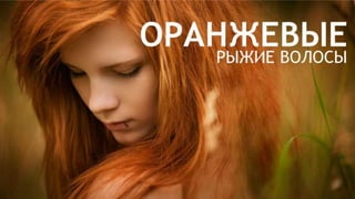 Цвета | Colours