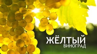 Цвета | Colours