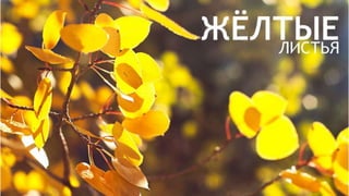 Цвета | Colours