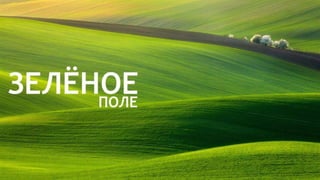 Цвета | Colours