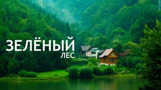 Цвета | Colours