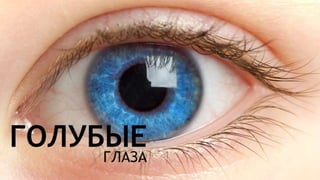 Цвета | Colours