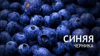 Цвета | Colours