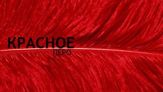 Цвета | Colours