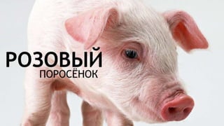 Цвета | Colours