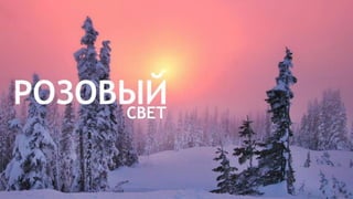 Цвета | Colours