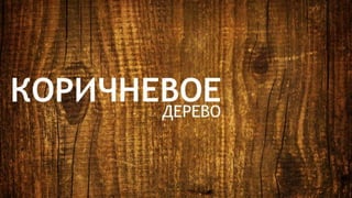 Цвета | Colours