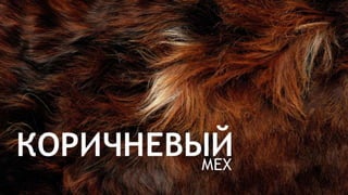 Цвета | Colours