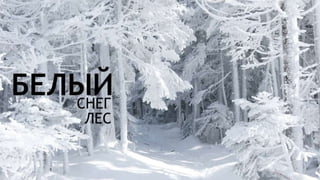 Цвета | Colours