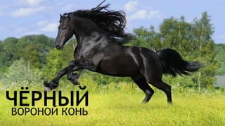 Цвета | Colours