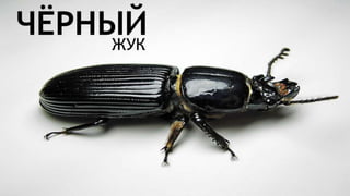 Цвета | Colours