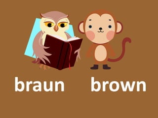 braun brown
 
