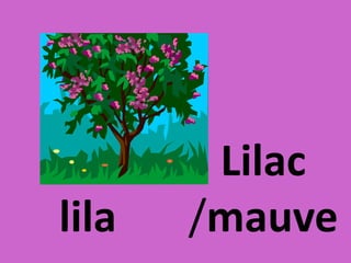lila
Lilac
/mauve
 