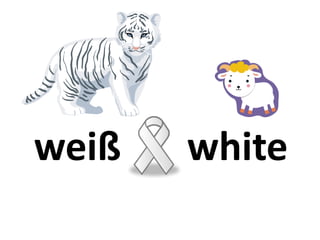 weiß white
 