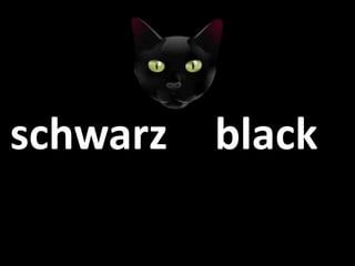 schwarz black
 