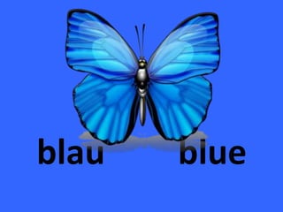 blau blue
 
