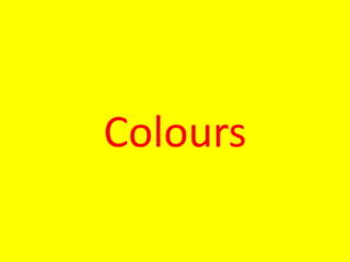 Colours
 