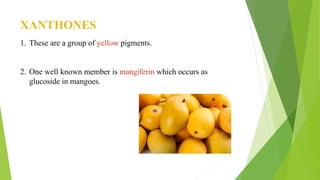 XANTHONES
1. These are a group of yellow pigments.
2. One well known member is mangiferin which occurs as
glucoside in mangoes.
 