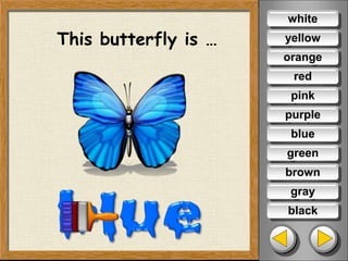 This butterfly is …
white
yellow
orange
red
pink
purple
green
brown
gray
black
blue
 