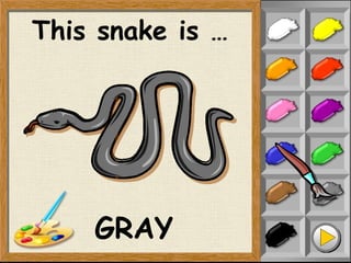 This snake is …
GRAY
 