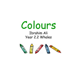 Colours Ibrahim Ali Year 2.2 Whales 