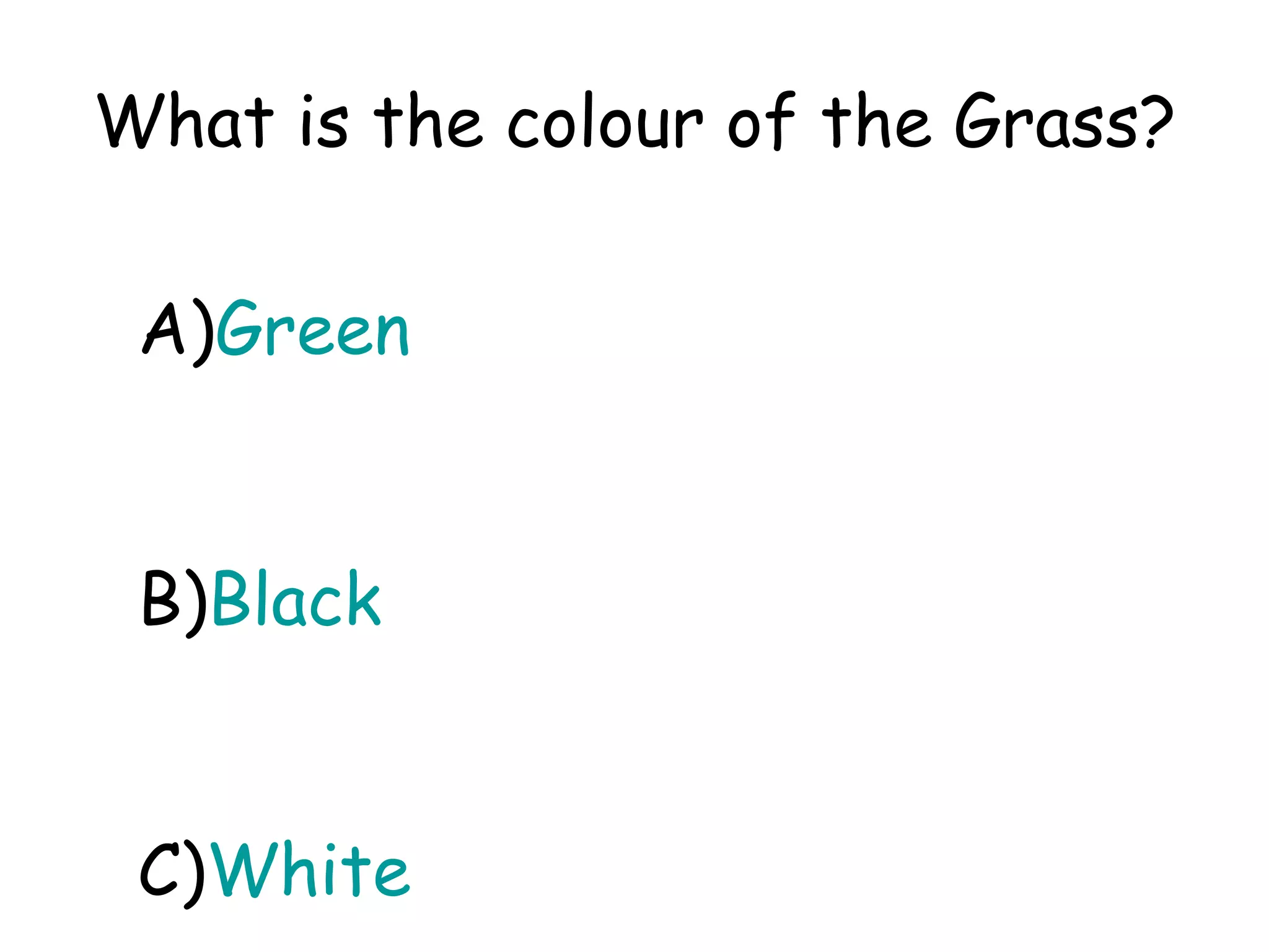 What is the colour of the Grass? A) Green B) Black C) White 
