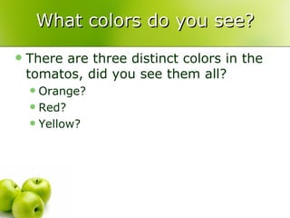 What colors do you see? There are three distinct colors in the tomatos, did you see them all? Orange? Red? Yellow? 