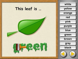 This leaf is …
white
yellow
orange
red
pink
purple
blue
brown
gray
black
green
 