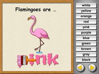 Flamingoes are …
white
yellow
orange
red
purple
blue
green
brown
gray
black
pink
 