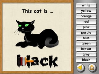 This cat is …
white
yellow
orange
red
pink
purple
blue
green
brown
gray
black
 