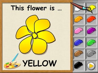 This flower is …
YELLOW
 