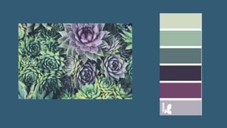 Colour scheme ideas