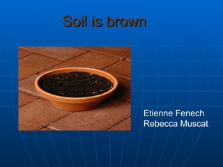 Soil is brown   Etienne Fenech Rebecca Muscat 